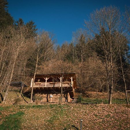 Hiska Na Samem V Slovenj Gradcu Slovenj Gradec Exterior foto