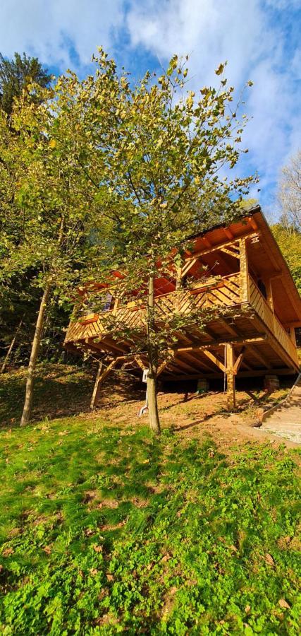 Hiska Na Samem V Slovenj Gradcu Slovenj Gradec Exterior foto